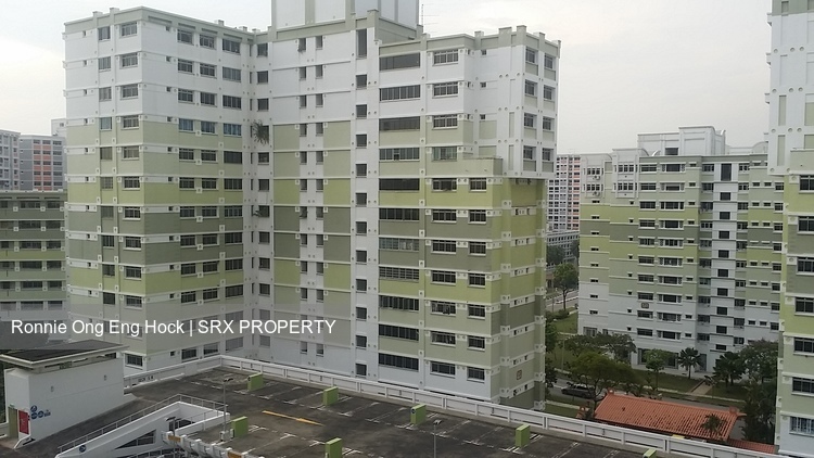 Jurong West Street 81 thumbnail photo